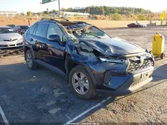 2T3W1RFV6RW303369 2024 TOYOTA RAV 4