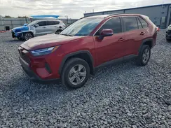 2T3W1RFV6RW312430 2024 TOYOTA RAV 4