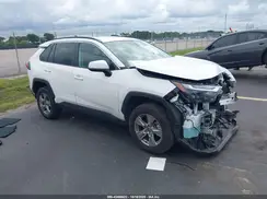 2T3W1RFV6RW319703 2024 TOYOTA RAV 4