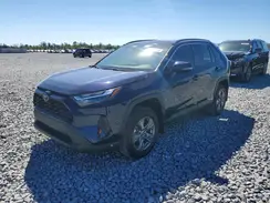 2T3W1RFV6RW320592 2024 TOYOTA RAV 4