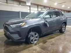 2T3W1RFV6RW322049 2024 TOYOTA RAV 4