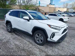 2T3W1RFV6RW330376 2024 TOYOTA RAV 4