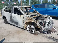2T3W1RFV6RW330796 2024 TOYOTA RAV 4