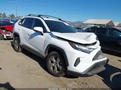 2T3W1RFV6RW349297 2024 TOYOTA RAV 4