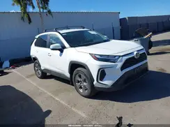 2T3W1RFV6RW361062 2024 TOYOTA RAV 4