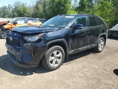 2T3W1RFV7KW019853 2019 TOYOTA RAV 4
