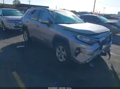 2T3W1RFV7KW025202 2019 TOYOTA RAV 4