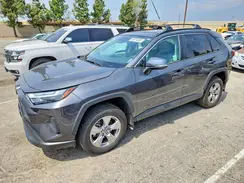 2T3W1RFV7PW241350 2023 TOYOTA RAV 4