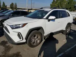 2T3W1RFV7PW244507 2023 TOYOTA RAV 4