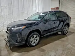2T3W1RFV7PW286515 2023 TOYOTA RAV 4
