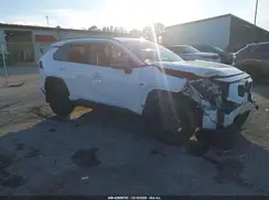 2T3W1RFV7RC281111 2024 TOYOTA RAV 4
