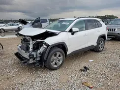2T3W1RFV7RW317636 2024 TOYOTA RAV 4