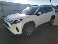 2T3W1RFV7RW318558 2024 TOYOTA RAV 4