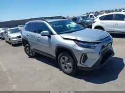 2T3W1RFV7RW336042 2024 TOYOTA RAV 4