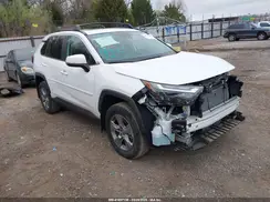 2T3W1RFV7RW338244 2024 TOYOTA RAV 4