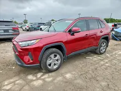 2T3W1RFV7RW362690 2024 TOYOTA RAV 4