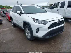 2T3W1RFV8KW030117 2019 TOYOTA RAV 4