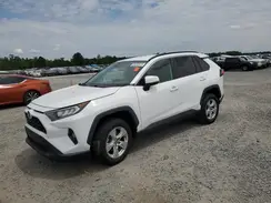 2T3W1RFV8MW137123 2021 TOYOTA RAV 4