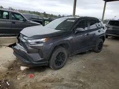 2T3W1RFV8PC235560 2023 TOYOTA RAV 4