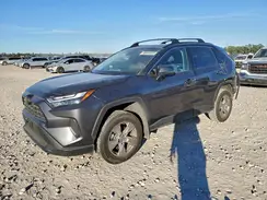 2T3W1RFV8PC244159 2023 TOYOTA RAV 4