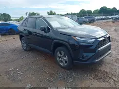 2T3W1RFV8PC251936 2023 TOYOTA RAV 4