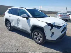 2T3W1RFV8PW240742 2023 TOYOTA RAV 4