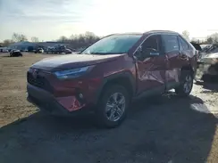 2T3W1RFV8PW242121 2023 TOYOTA RAV 4