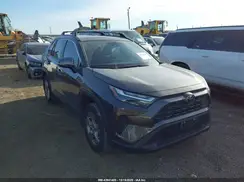2T3W1RFV8PW244709 2023 TOYOTA RAV 4