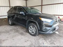 2T3W1RFV8RC267797 2024 TOYOTA RAV 4