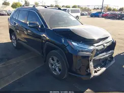 2T3W1RFV8RC280260 2024 TOYOTA RAV 4