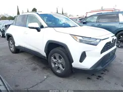 2T3W1RFV8RW339189 2024 TOYOTA RAV 4