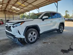 2T3W1RFV8RW354064 2024 TOYOTA RAV 4