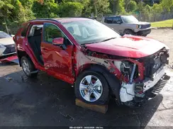 2T3W1RFV8RW363315 2024 TOYOTA RAV 4