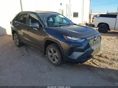 2T3W1RFV8RW364240 2024 TOYOTA RAV 4