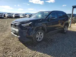 2T3W1RFV8SW410638 2025 TOYOTA RAV 4