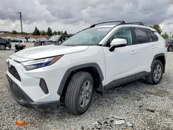 2T3W1RFV8SW442411 2025 TOYOTA RAV 4