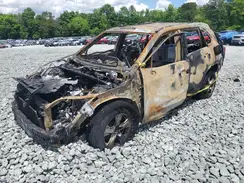 2T3W1RFV9KW024584 2019 TOYOTA RAV 4