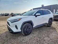 2T3W1RFV9NW204930 2022 TOYOTA RAV 4