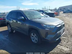 2T3W1RFV9PW238725 2023 TOYOTA RAV 4