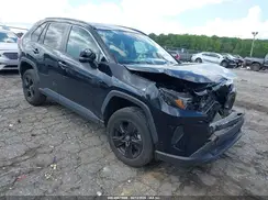 2T3W1RFV9PW268372 2023 TOYOTA RAV 4