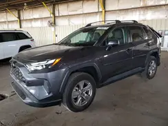 2T3W1RFV9PW269411 2023 TOYOTA RAV 4