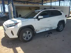 2T3W1RFV9RC268764 2024 TOYOTA RAV 4