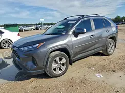 2T3W1RFV9RC279893 2024 TOYOTA RAV 4