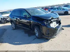 2T3W1RFV9RC293146 2024 TOYOTA RAV 4