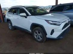2T3W1RFV9RW328251 2024 TOYOTA RAV 4