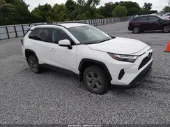 2T3W1RFV9RW331425 2024 TOYOTA RAV 4