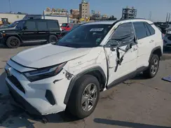 2T3W1RFV9RW336446 2024 TOYOTA RAV 4
