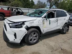 2T3W1RFV9RW336656 2024 TOYOTA RAV 4