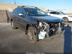 2T3W1RFV9RW363839 2024 TOYOTA RAV 4