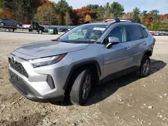 2T3W1RFVXPC231610 2023 TOYOTA RAV 4